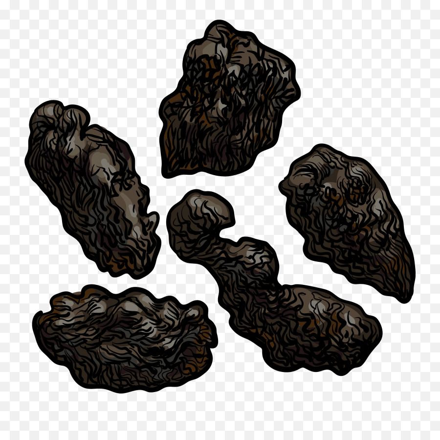 Download Bat Poop - Rodent Png Image With No Background Oak,Rodent Png