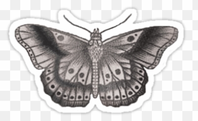 Styles Butterfly Tattoo Transparent - Tatuajes De Harry png