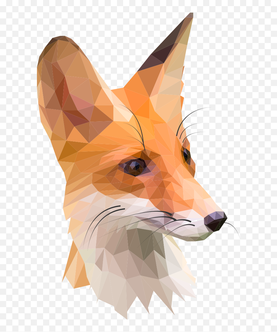 Fox Head Png - Fox Images Hd Download Zorros Poses Free Fox Illustration,Fox Head Png