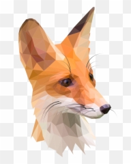 Fox Head Png - Fox Images Hd Download Zorros Poses Free Fox Illustration,Fox Head Png