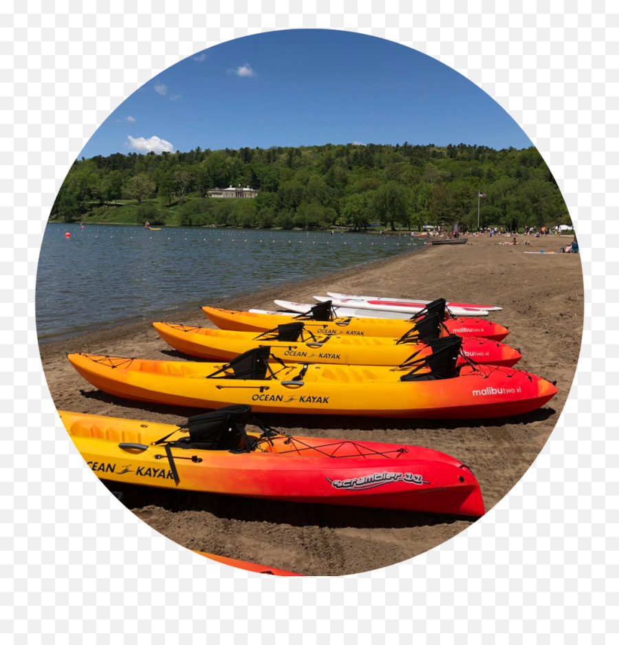 Canoe Kayak Rentals And Sales - Sea Kayak Png,Kayak Png