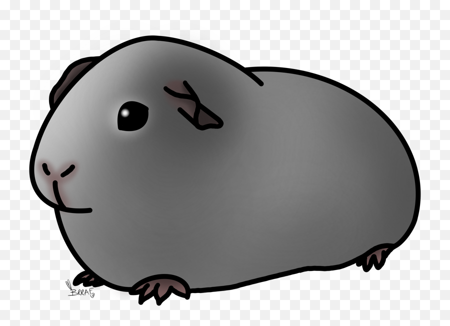 Guinea Pig Care - Soft Png,Guinea Pig Png