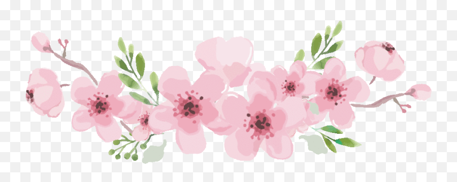 Ios Animated Flowers Png - Cherry Blossom Gif Transparent,Cherry Blossom Flower  Png - free transparent png images 