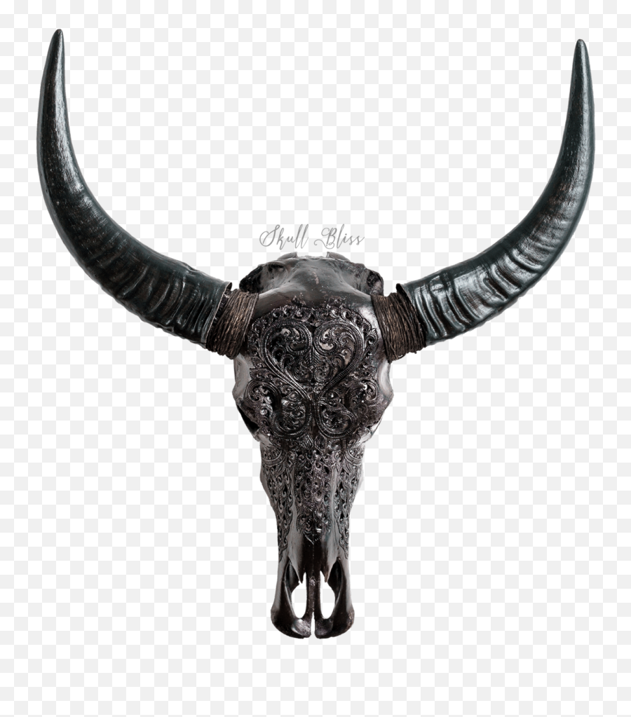 Carved Buffalo Skull - Black Heart Png,Transparent Black Heart