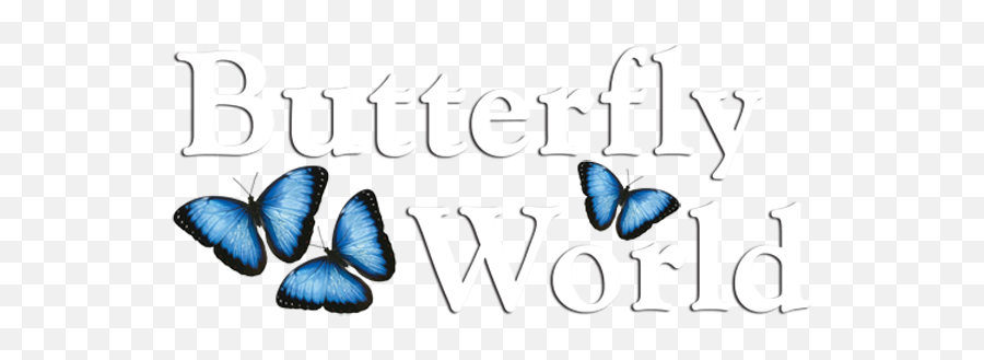 Butterfly World U2013 Where 20000 Exotic Butterflies And Birds - Butterfly World Logo Png,Butterfly Logo Name