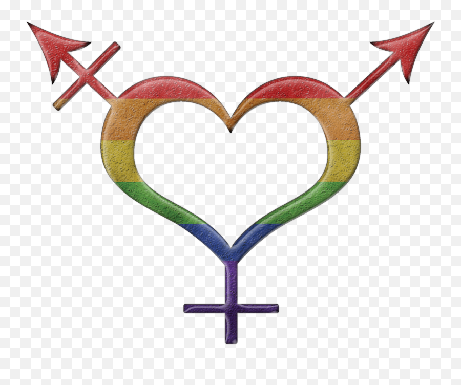 Pin - Decorative Png,Transgender Symbol Png