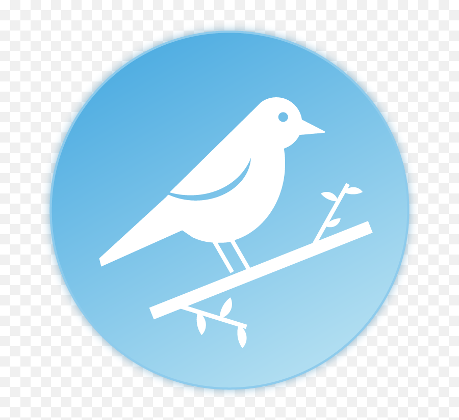 Bird Icon - Old World Flycatchers Png,Big Bird Icon