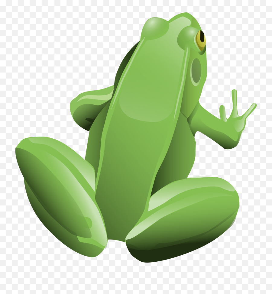 Green Frog - Frogs Png Image 432 Pngmix,Transparent Frog