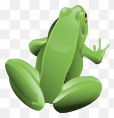 Green Frog - Frogs Png Image 432 Pngmix,Transparent Frog