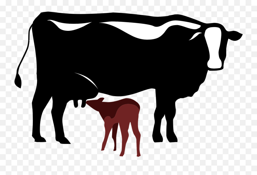 Cow Calf Symbol - Free Vector Graphic On Pixabay Cow And Calf Vector Png,Cattle Icon