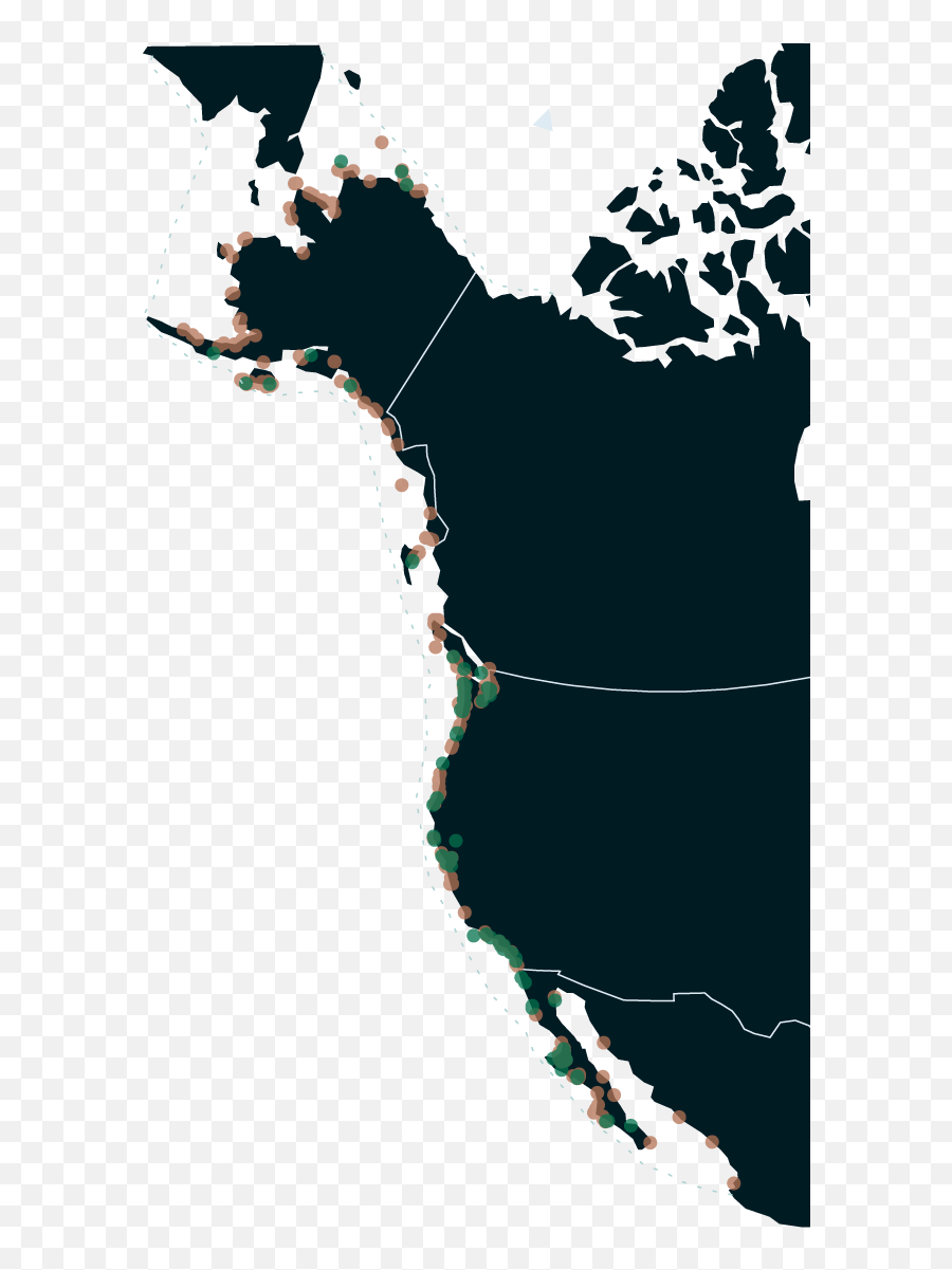 Gray Whales Are Dying Along The Pacific Coast - North And Central America Vector Map Png,Just Cause 3 Icon Legend