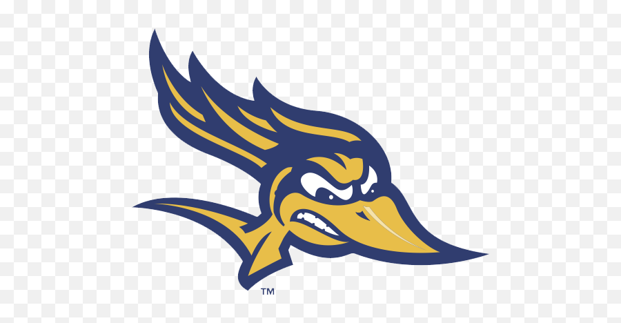 Diversity Equity And Inclusion - The Big West Csu Bakersfield Roadrunners Png,Nba Live 19 Icon