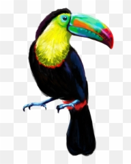 Download Tucan Baja Transparente - Tucan Png Transparente,Tucan Png