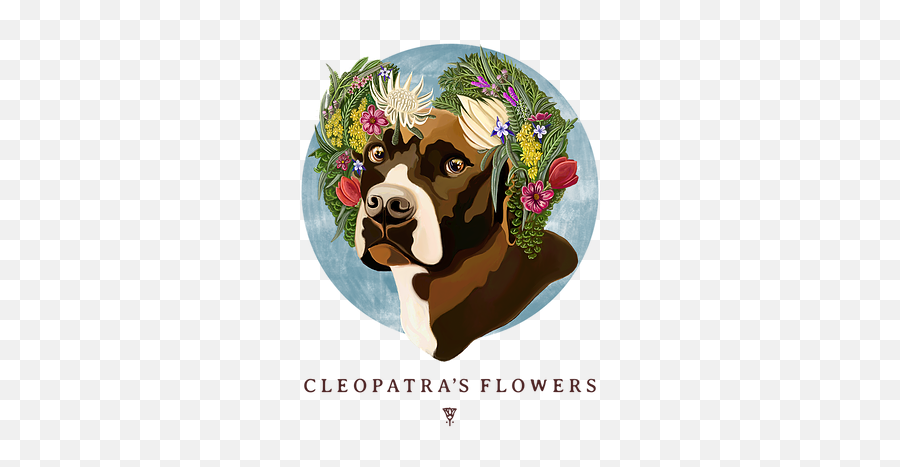 Florist Cleopatrau0027s Flowers United States - Boston Terrier Png,Bulldog Transparent Background