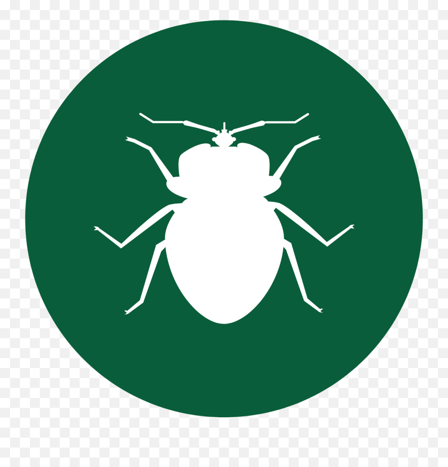 Pest Control Parrish Fl 941 - 7296564 Png,Round Bed Icon