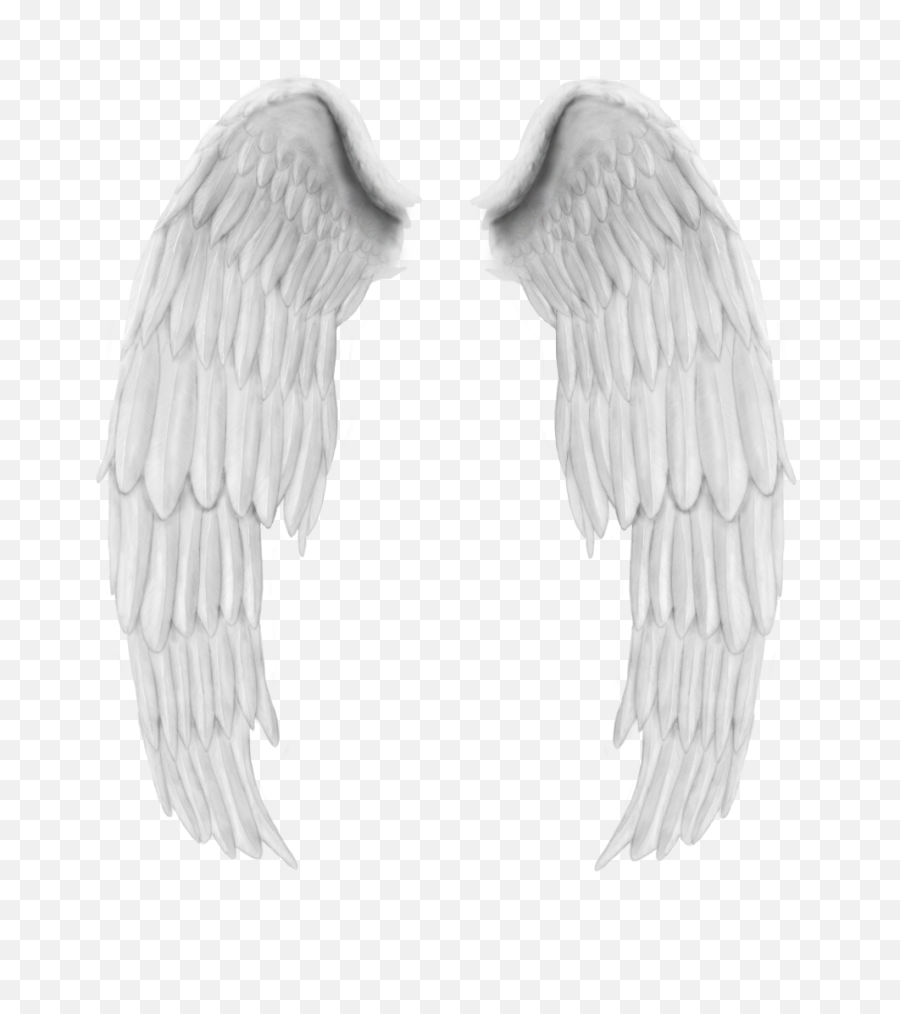 White Wings Png High Quality Image - White Eagle Feather Png,White Wings Png