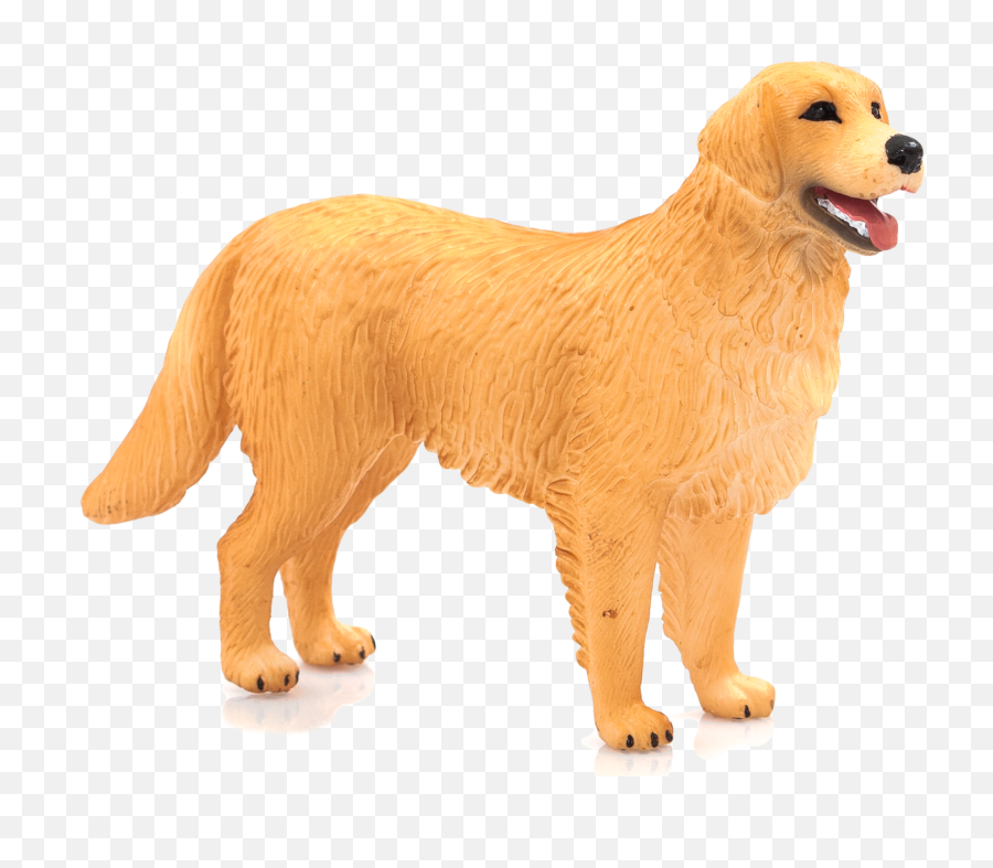 Golden Retriever Png - Mojo Golden Retriever 4326317 Vippng Mojo Golden Retriever,Golden Retriever Transparent Background