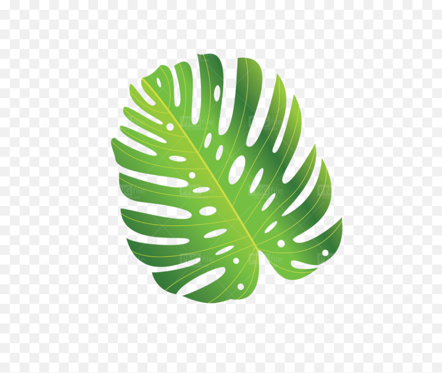 Green Tropical Leave Png Free Download - Illustration,Leave Png