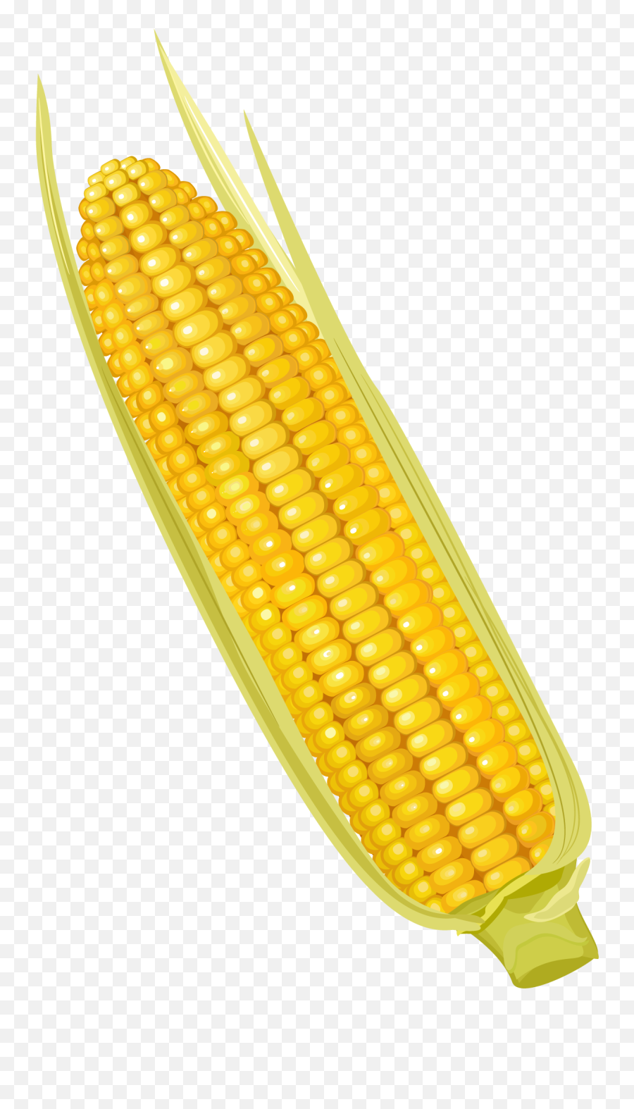 Corn - Corn On The Cob Png,Corn Cob Png