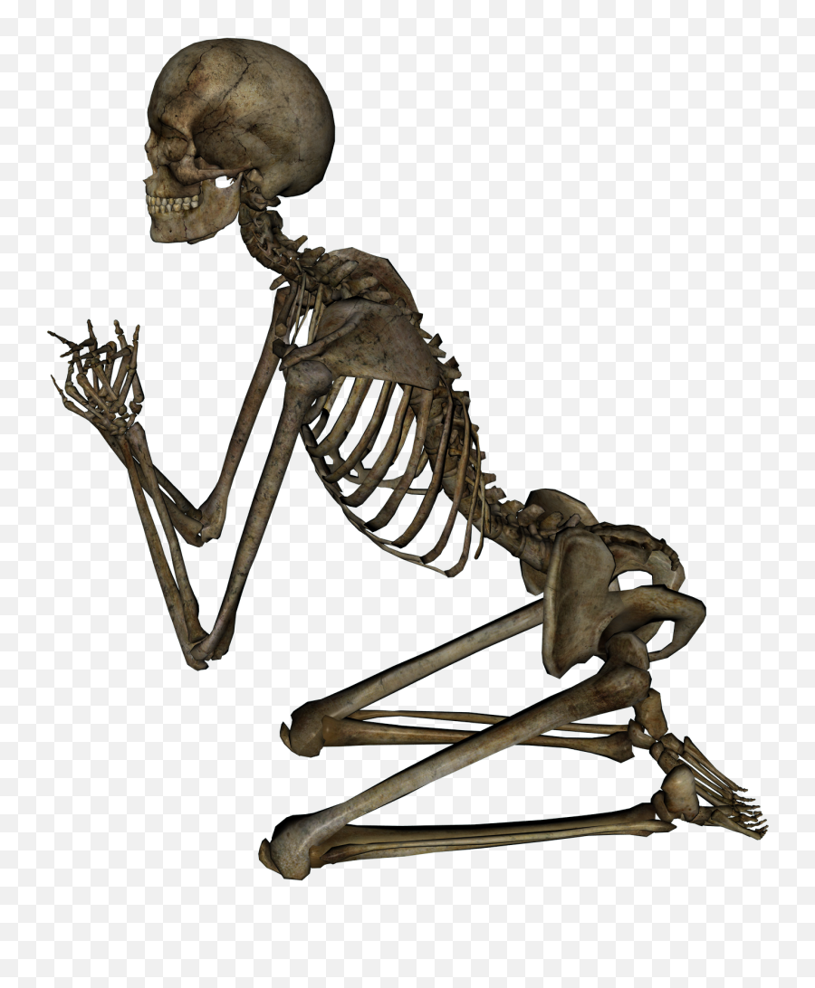 Download Skeleton Skull Png Image For Free - Skeleton Png,Skeleton Png Transparent