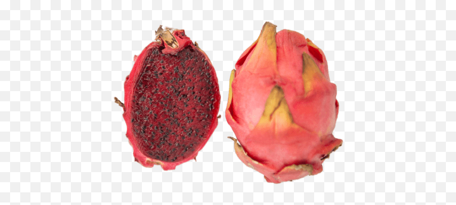 Dragon Fruit Red Flesh X1 - Dragonfruit Png,Dragon Fruit Png