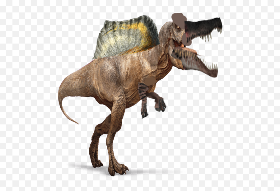 Spinosaurus Png Pic - Spinosaurus Png,Spinosaurus Png