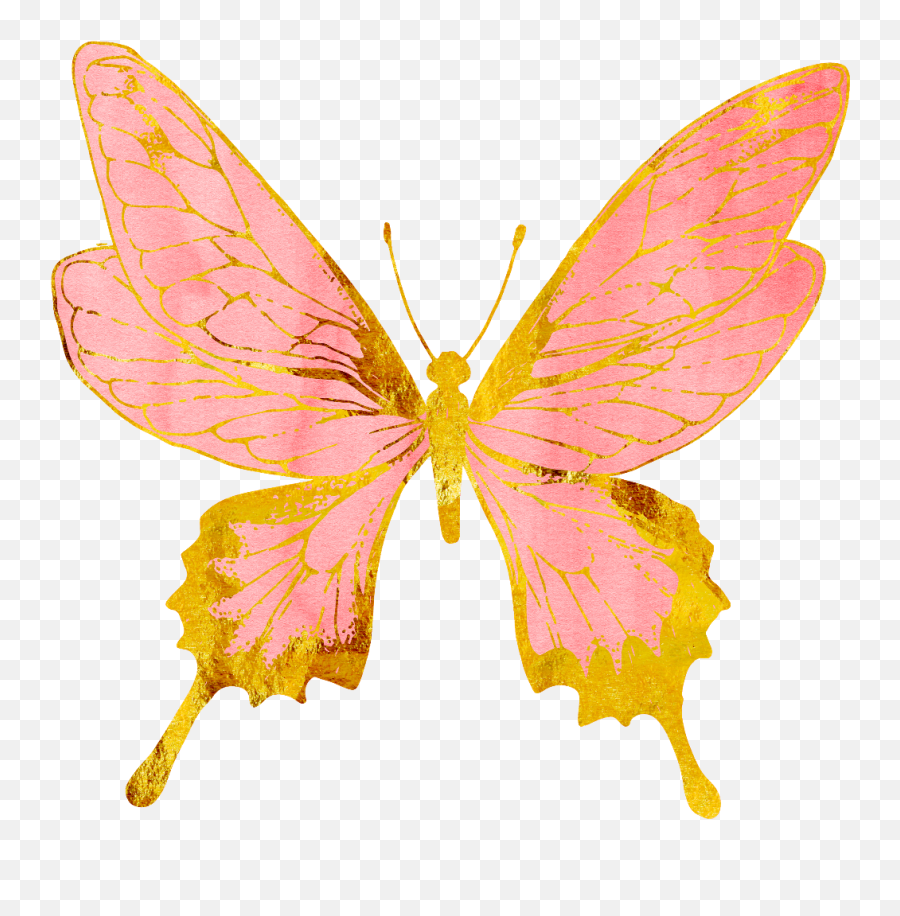 Connection - Butterfly Printable Rose Gold Png,Gold Butterfly Png
