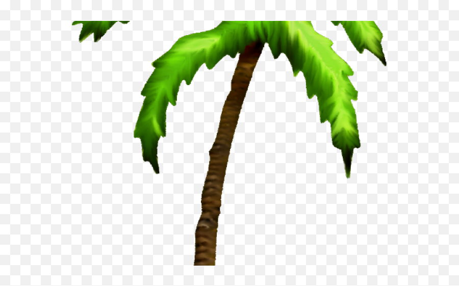 Palm Tree - Palm Trees Png,Cartoon Palm Tree Png