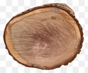Top View Tree Stump Png