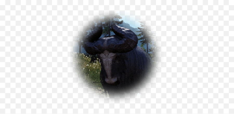 Winning Over The Drieghanese - Bdo Codex Yak Bdo Png,Icon Helmet Horns