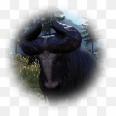 Winning Over The Drieghanese - BDO Codex Yak Bdo png
