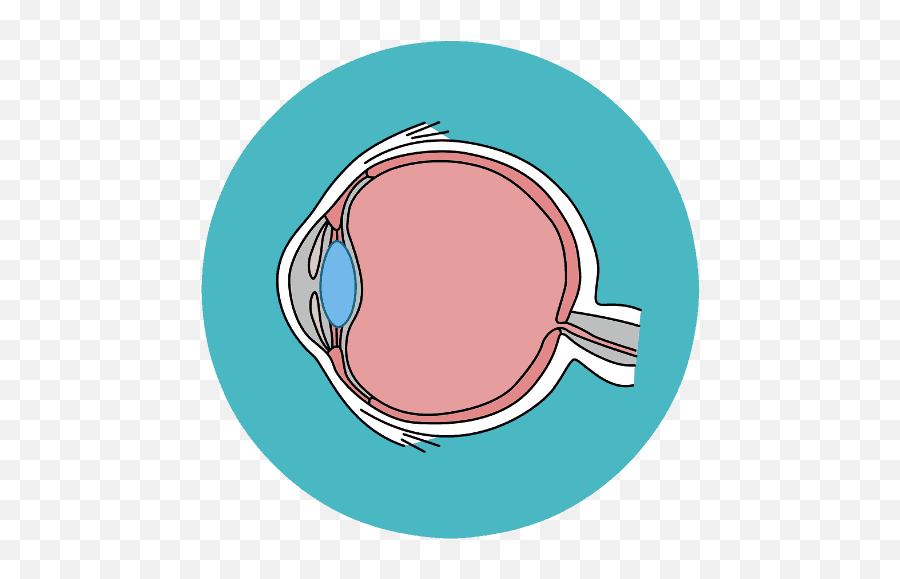 Ram Eye Care Retina Center - Dot Png,Eye Icon On My Phone