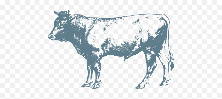 Mammal Animal Cow Cattle - Free Svg Image U0026 Icon Image Beef Farm Clip Art Png,Cattle Icon