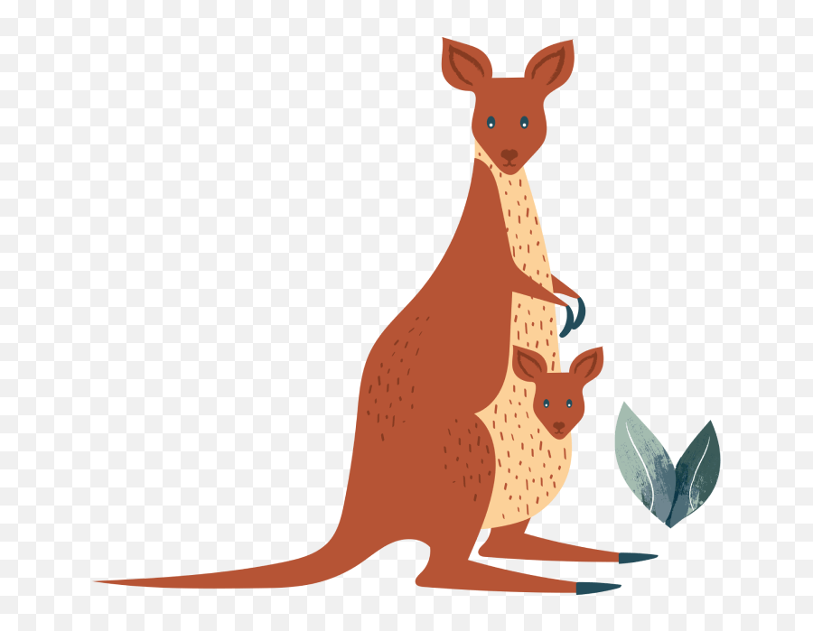 The Animals Find Their Voice - Eastern Grey Kangaroo Png,Wombat Icon