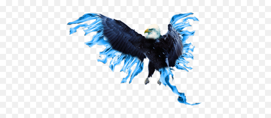 Blue Phoenix Transparent Png Mart - Blue Phoenix Transparent,Phoenix Bird Png