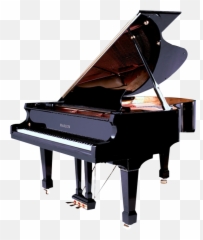 China Grand Piano Manufacturers And - Wagner Grand Piano Png,Grand Piano Png