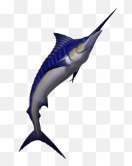 Marlin Png 2 Image - Marlin Fish Png,Marlin Png