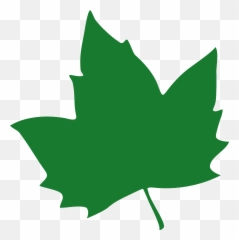 Home - Chicagoivycompany Png,Ivy Icon