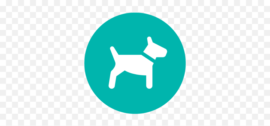 Pet Supplies - Best Online Pet Supply Store U2014 Petship Dog Png,Dog Icon
