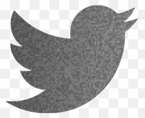Custom Color Twitter Icon - Free social icons Social Media Icons Twitter Png