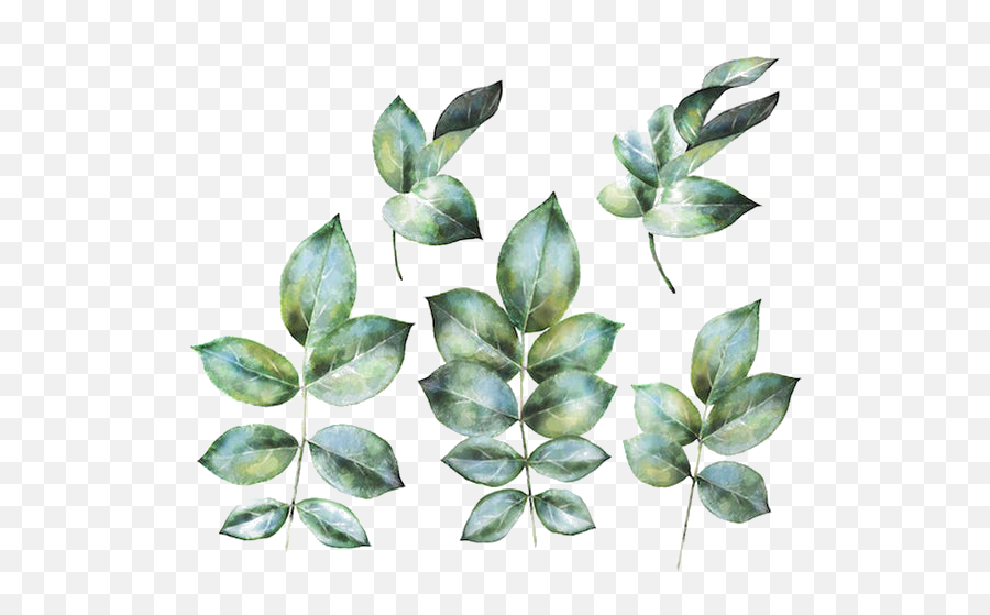 Green Leaves Png Pic Background Play - Transparent Background High Resolution Green Leaf Png,Leaf Png