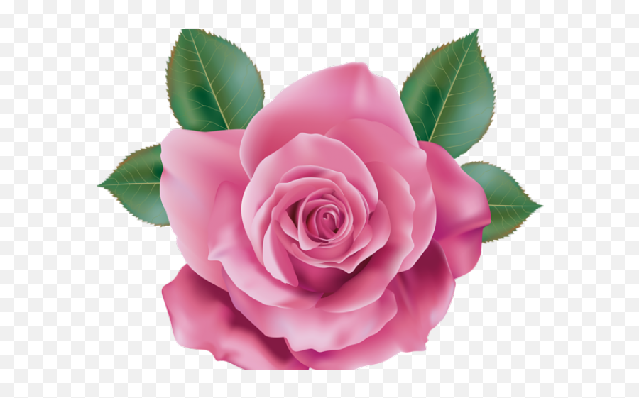 Pink Rose Clipart Realistic - Transparent Background Pink Rose Png,Rose Clipart Transparent