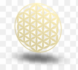 Design And Decorate Your Room In 3d - Blume Des Lebens Png,Flower Of Life Png