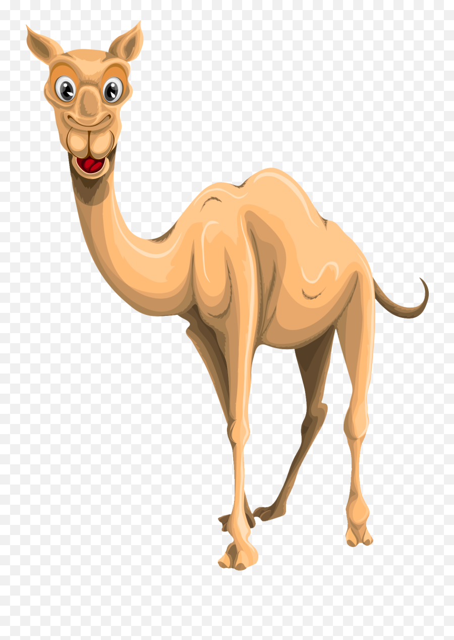 Camel Png Image Free Pictures - Camel Cartoon Png Transparent,Camel Png -  free transparent png images 