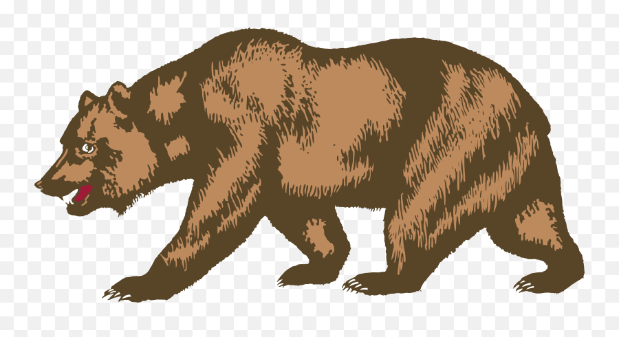 Brown Bear Vector - Bear On The California Flag Png,Grizzly Bear Png