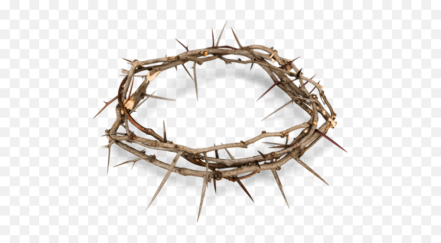 Download Crown Of Thorns Png Image - Crown Of Thorns Png Transparent,Thorns Png