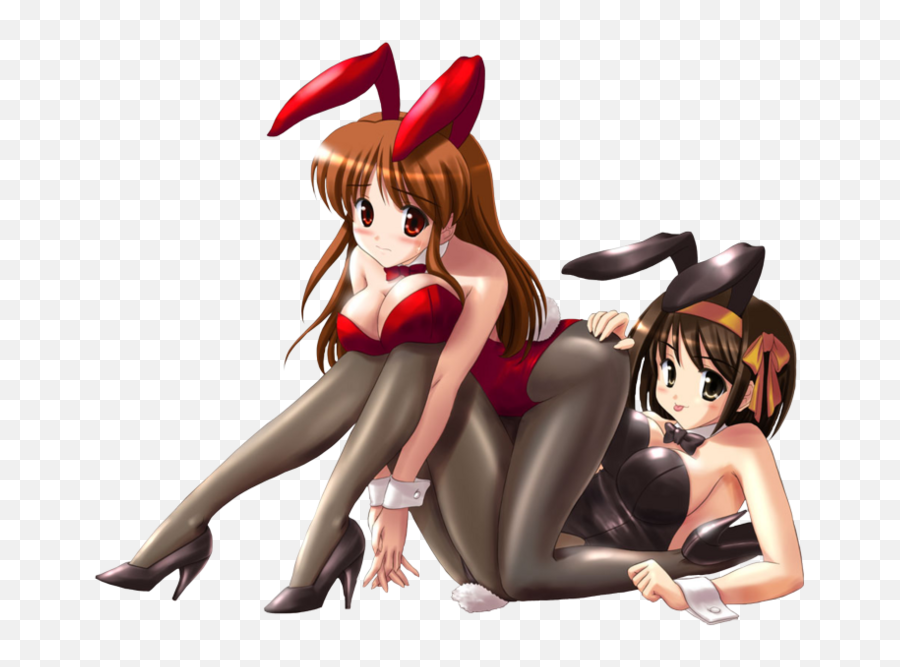 Anime Bunny Girls Png Official Psds - Anime Bunny Girls Hot,Anime Girls Png