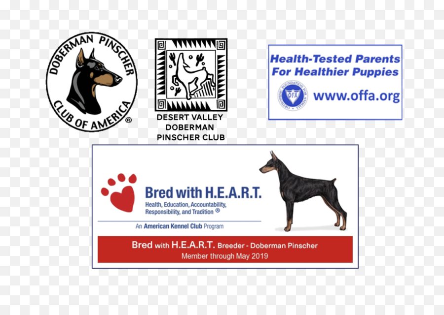 Memberof - Doberman Therapy Dog Paperwork Png,Doberman Png