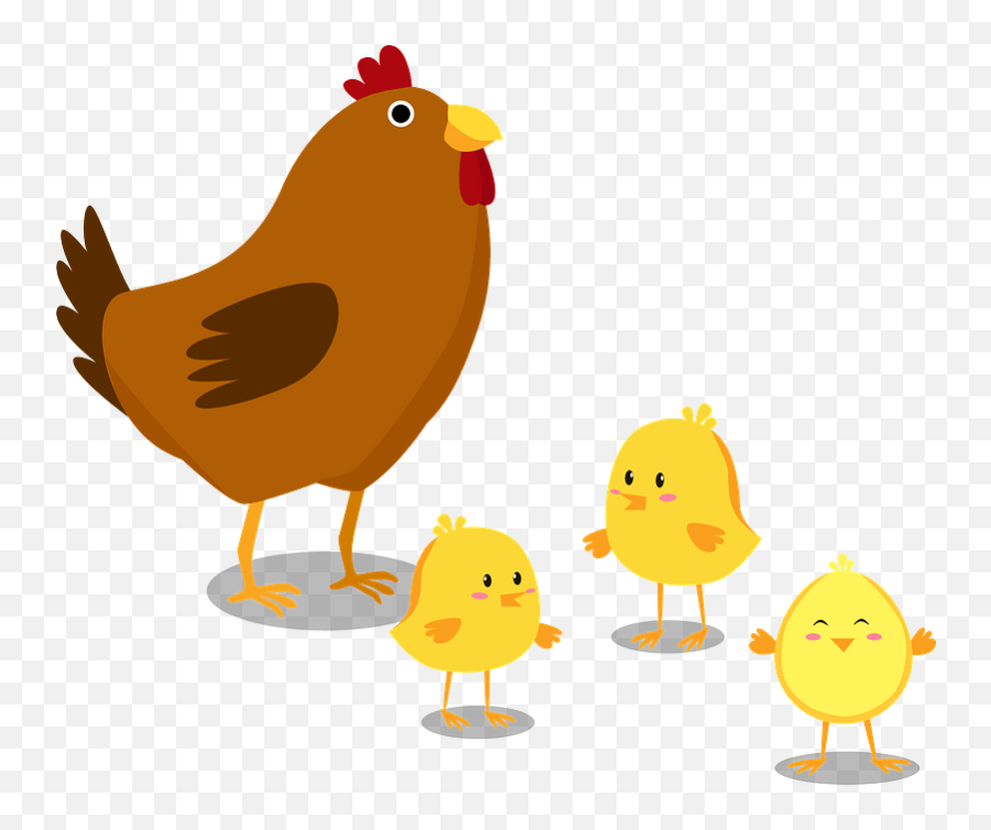Clipart - Hen Chicks Clipart Png,Chickens Png