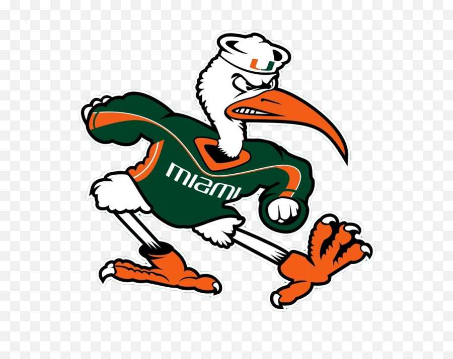 Free Miami Hurricanes Cliparts Download 1095145 - Png University Of Miami Hurricanes,Hurricane Png